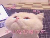 东莞市复鼎织造实业有限公司