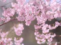 东莞市复鼎织造实业有限公司