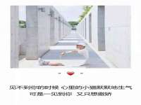东莞市复鼎织造实业有限公司