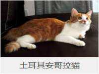 东莞市复鼎织造实业有限公司