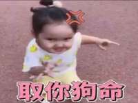 东莞市复鼎织造实业有限公司