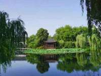 东莞市复鼎织造实业有限公司