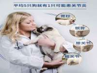 东莞市复鼎织造实业有限公司