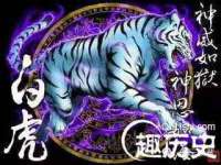 东莞市复鼎织造实业有限公司