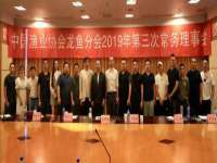 东莞市复鼎织造实业有限公司