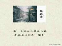东莞市复鼎织造实业有限公司