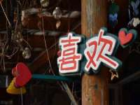 东莞市复鼎织造实业有限公司