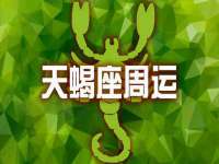 东莞市复鼎织造实业有限公司