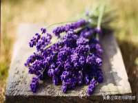 东莞市复鼎织造实业有限公司
