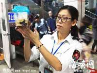 东莞市复鼎织造实业有限公司